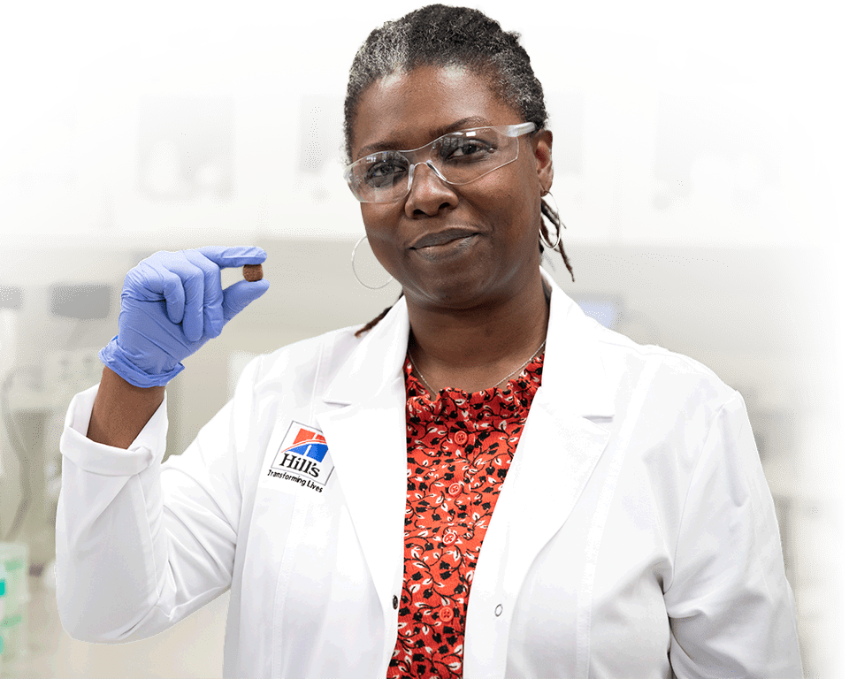 Hill's scientist holding a piece of kibble in their hand
